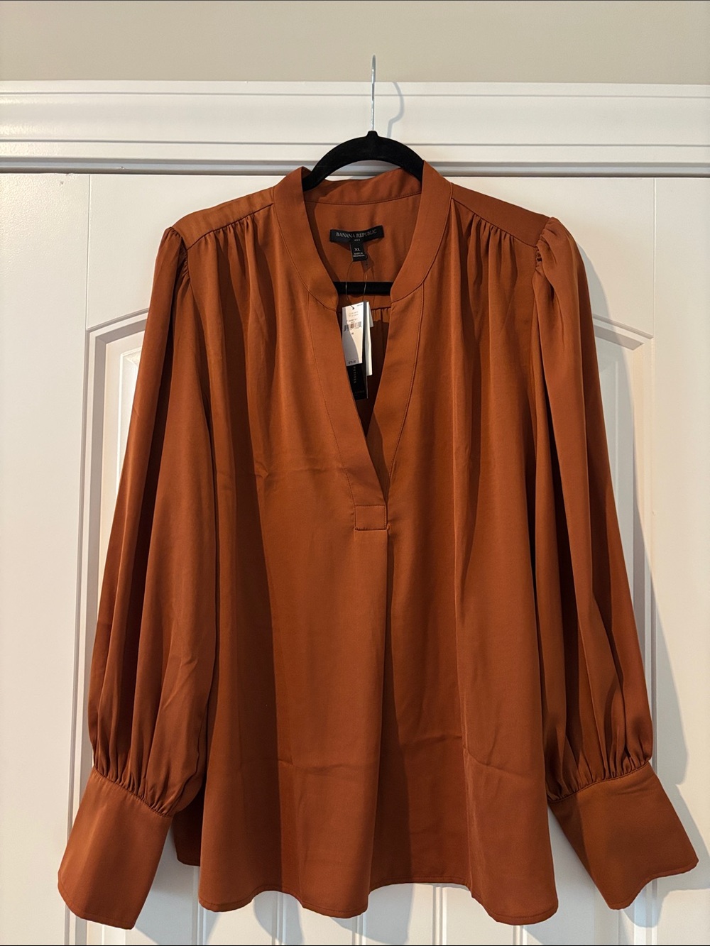 Banana Republic Burnt Orange V-Neck Long Sleeve Blouse